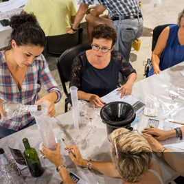 Atelier créations de vin Festival des vins d'Aniane